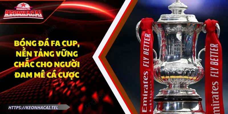 bóng đá FA cup